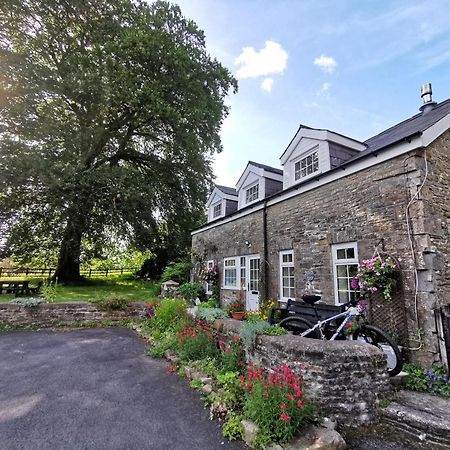 Swansea Valley Holiday Cottages Cilybebyll Exterior photo