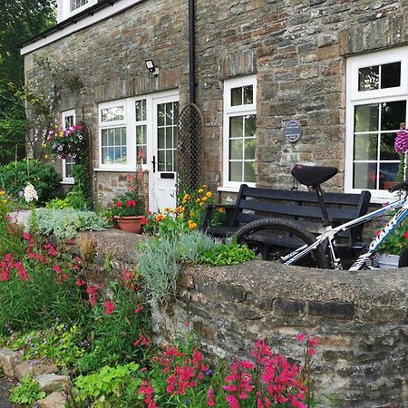 Swansea Valley Holiday Cottages Cilybebyll Exterior photo